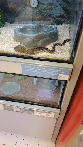 Pet Supply Store «Petco Animal Supplies», reviews and photos, 3012 Bridgepointe Pkwy, San Mateo, CA 94404, USA