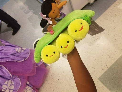 Toy Store «Disney Store», reviews and photos, 191 Marigold Ct, Central Valley, NY 10917, USA