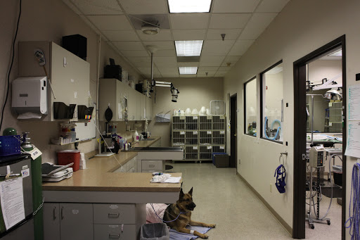 Spay & Neuter Center of Southern Nevada - East