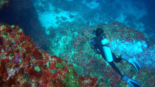 Video - Legend Diving Lembongan