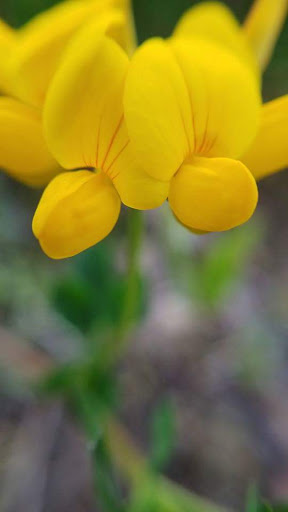 Park «Lake Elmo Park Reserve», reviews and photos, 1515 Keats Ave N, Lake Elmo, MN 55042, USA