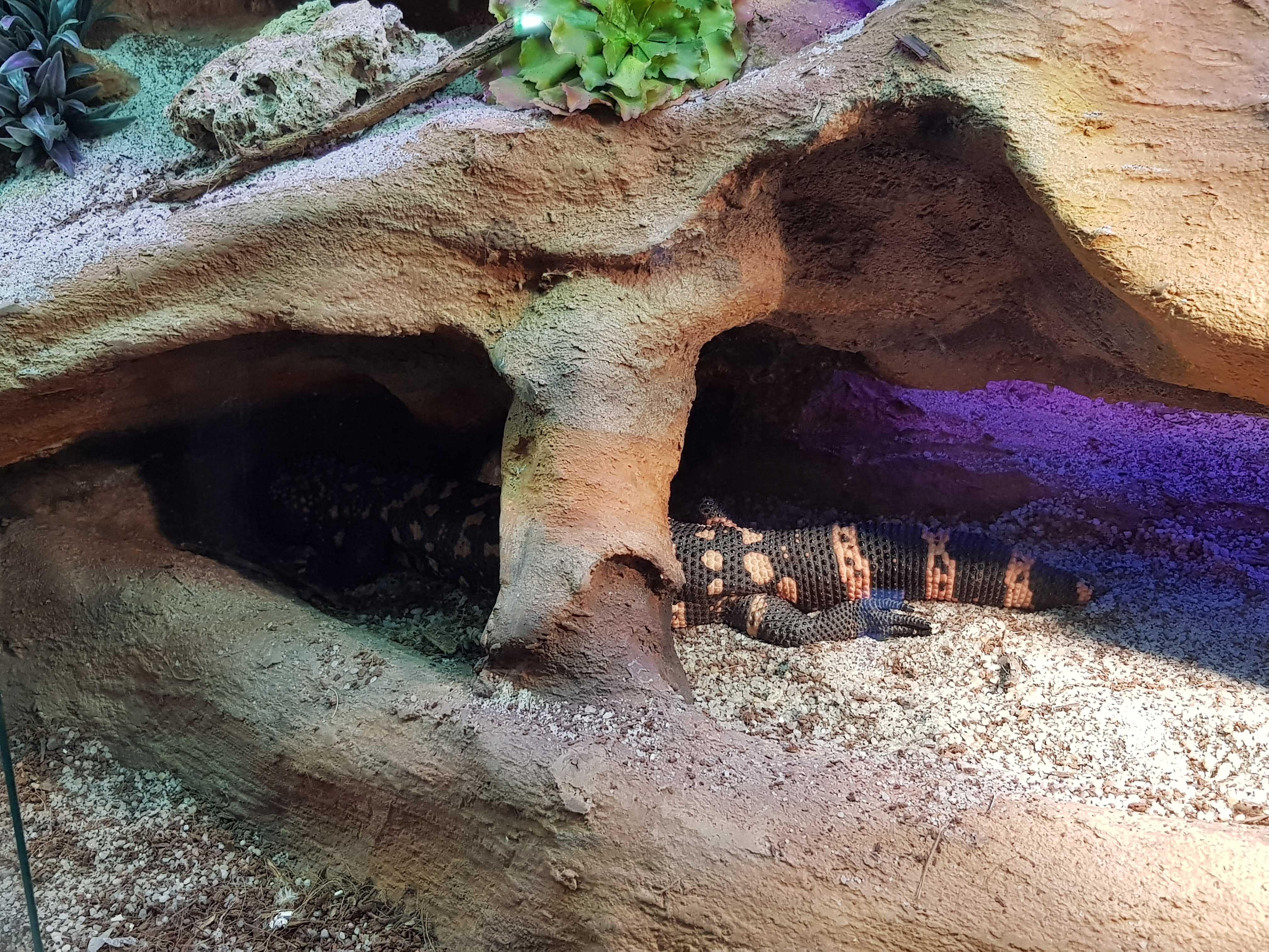 Photo n° 3 de l'avis de Danielle.a fait le 07/03/2019 à 19:30