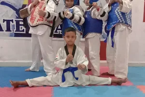 Taekwondo classes in kharar image