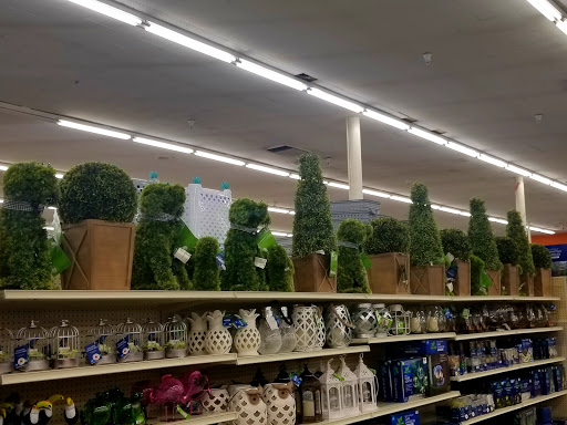 Discount Store «Big Lots», reviews and photos, 610 Las Tunas Dr, Arcadia, CA 91007, USA