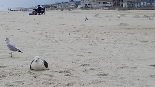 Miniature Golf Course «Lighthouse Point Miniature Golf Club», reviews and photos, 801 Boardwalk, Point Pleasant Beach, NJ 08742, USA