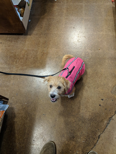 Pet Supply Store «PetPeople», reviews and photos, 1300 E 86th St, Indianapolis, IN 46240, USA