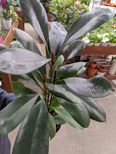 Home Improvement Store «The Home Depot», reviews and photos, 160 Laconia Rd, Tilton, NH 03276, USA