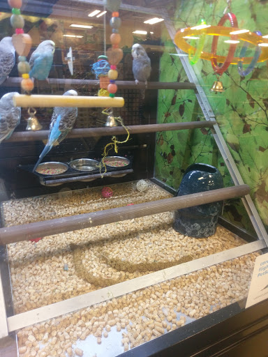 Pet Supply Store «PetSmart», reviews and photos, 2102 W Union Blvd #22A, Bethlehem, PA 18018, USA