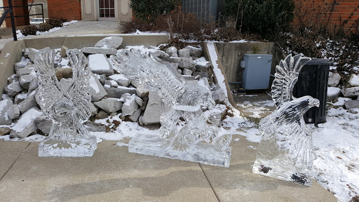 Convention Information Bureau «Alton Regional Convention & Visitors Bureau», reviews and photos, 200 Piasa St, Alton, IL 62002, USA