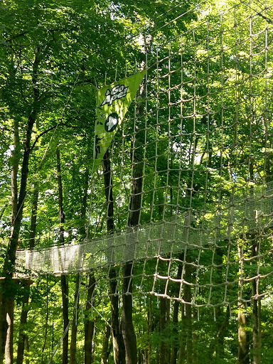 Recreation Center «Go Ape Zip Line & Treetop Adventure - Eagle Creek Park», reviews and photos, 5855 Delong Rd, Indianapolis, IN 46254, USA