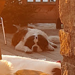 Photo n° 2 de l'avis de Bart.e fait le 20/01/2020 à 08:05 pour Chalet Hôtel-Restaurant L’Accroche Cœur à Montvalezan