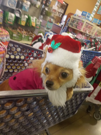 Pet Supply Store «PetSmart», reviews and photos, 919 Lakeland Park Center Dr Unit 380, Lakeland, FL 33809, USA