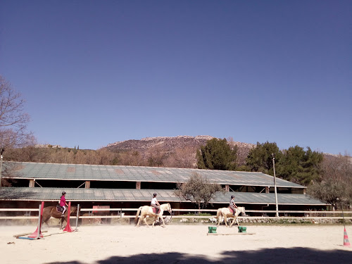 Centre équestre Domaine Equestre des Archanges Buis-les-Baronnies