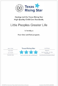 Little Peoples Greater Life - Photo 9 - Car repair in Webster, TX, Pasadena