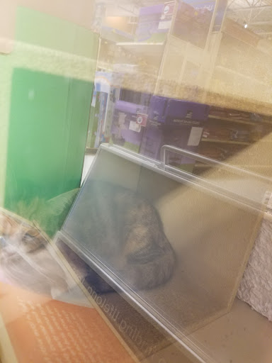 Pet Supply Store «PetSmart», reviews and photos, 3780 Riverchase Village #300, Hoover, AL 35244, USA
