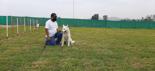 CENTRO DE ADIESTRAMIENTO CANINO - Escuela Canina ASTY - Sede Chosica