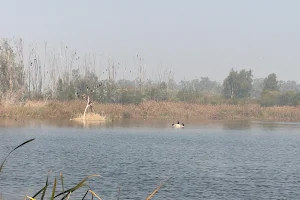 Yamuna Biodiversity Park image