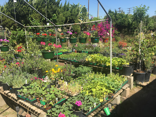 Plant Nursery «Bonita Nursery & Florists», reviews and photos, 3510 Santa Fe Ave, Long Beach, CA 90810, USA