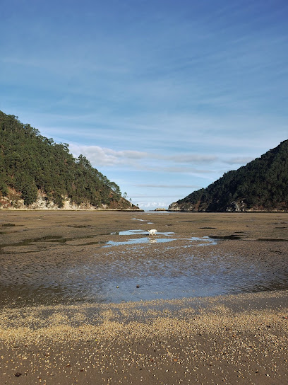 Playa – Playa del Sable – Alfoz de Lloredo