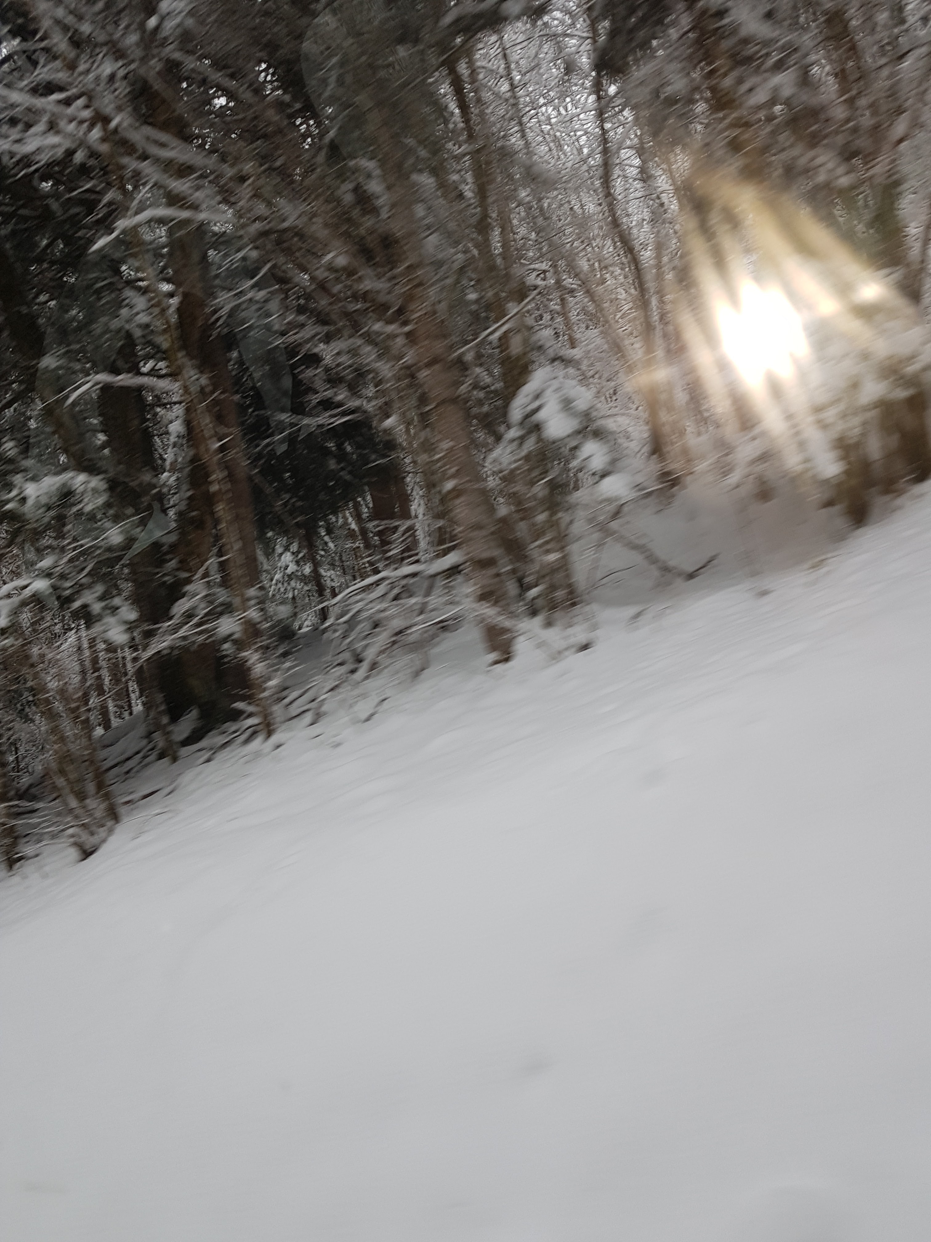 Photo n° 1 de l'avis de Nelly.o fait le 01/01/2021 à 16:54