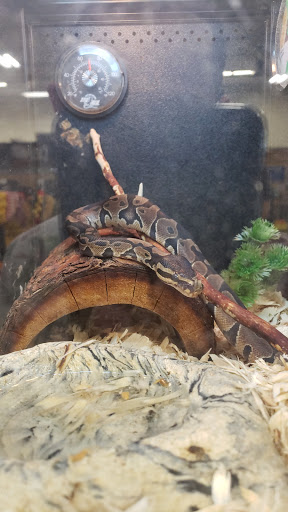 Pet Supply Store «PetSmart», reviews and photos, 170 Marketplace Blvd, Hamilton Township, NJ 08691, USA