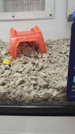 Pet Supply Store «Petco Animal Supplies», reviews and photos, 3012 Bridgepointe Pkwy, San Mateo, CA 94404, USA