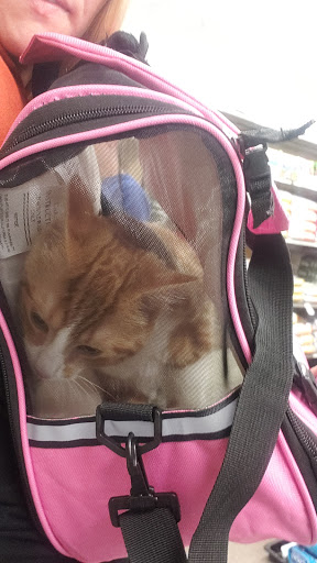 Pet Supply Store «Pet Supplies Plus», reviews and photos, 5230 S Westnedge Ave, Portage, MI 49002, USA