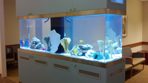 Tropical Fish Store «Aquarium Network», reviews and photos, 2435 Grand Ave, Bellmore, NY 11710, USA