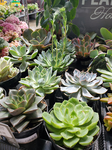 Home Improvement Store «The Home Depot», reviews and photos, 1300-1320 Corporate Dr, Westbury, NY 11590, USA