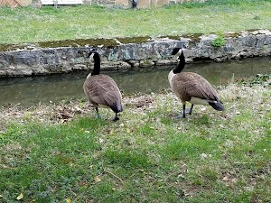 Hagley Museum - photo 37