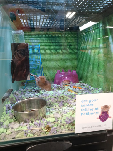 Pet Supply Store «PetSmart», reviews and photos, 2102 W Union Blvd #22A, Bethlehem, PA 18018, USA