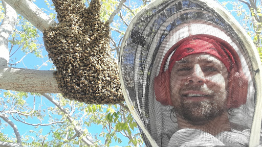 Honey farm West Covina