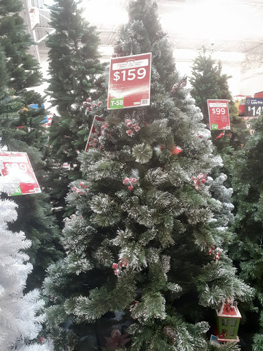 Department Store «Walmart Supercenter», reviews and photos, 5100 Okeechobee Rd, Fort Pierce, FL 34947, USA