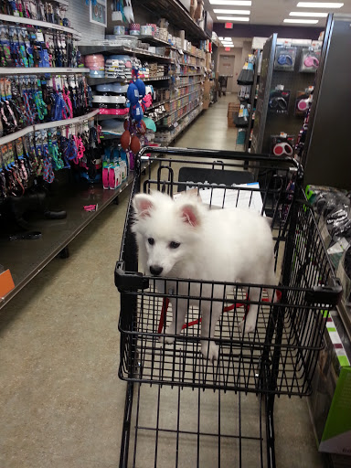 Pet Supply Store «Petco Animal Supplies», reviews and photos, 85 Godwin Ave #23, Midland Park, NJ 07432, USA