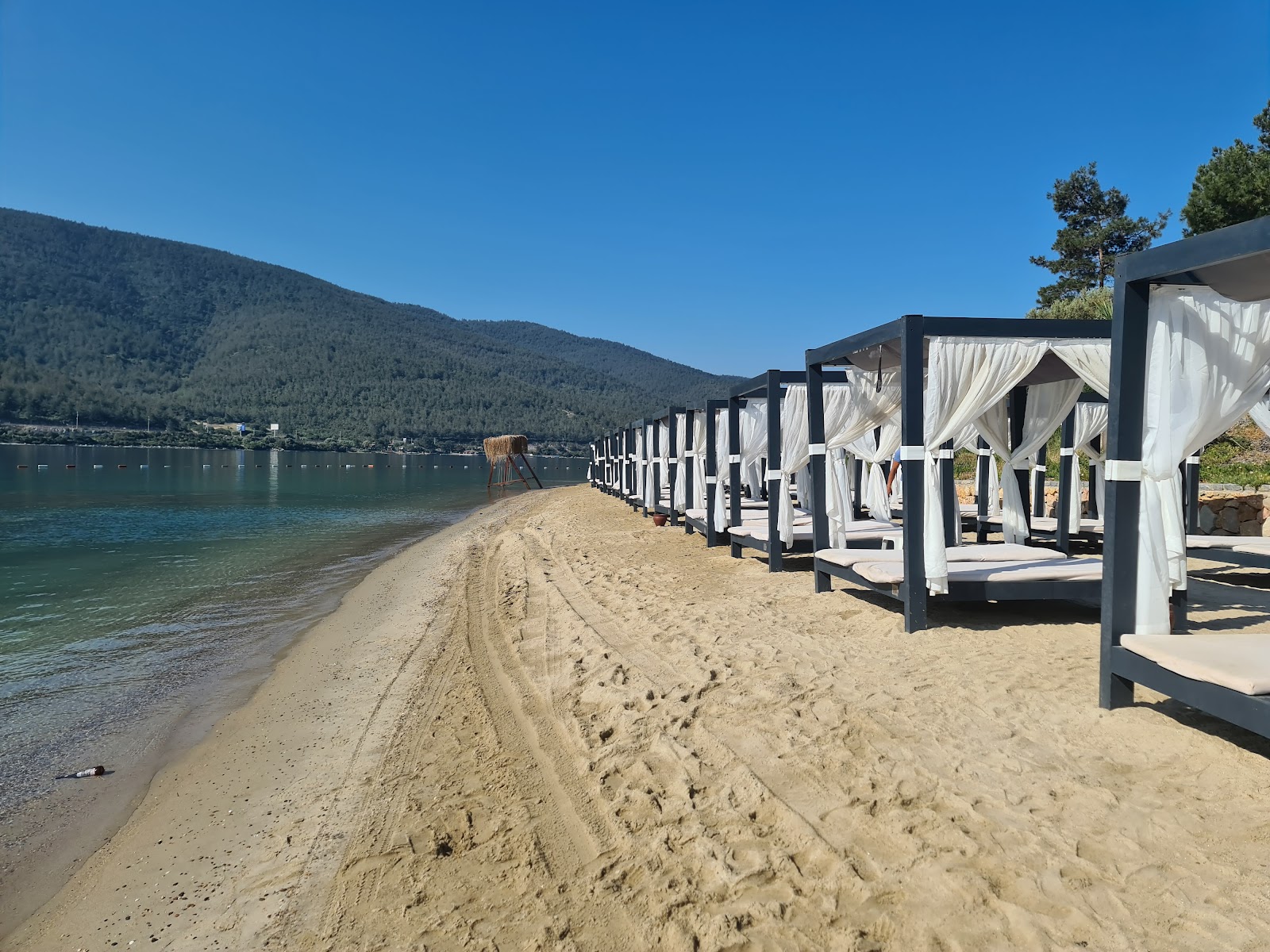 La Blanche Island Beach photo #7