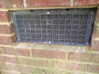 All About Animals NC - Squirrel Removal & Wildlife Removal - Photo 8 - Car repair in Charlotte, NC, Charlotte