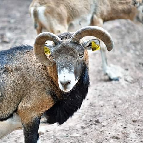 Photo n° 6 de l'avis de Bernard.u fait le 23/04/2019 à 19:35