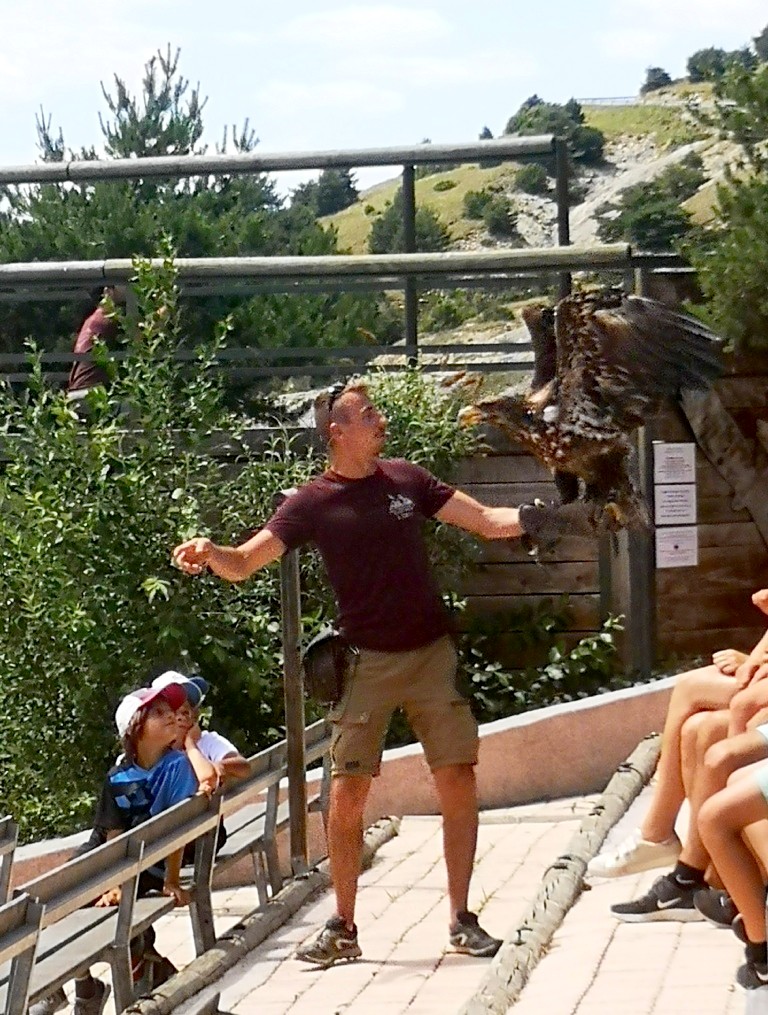 Photo n° 7 de l'avis de Thierry.E fait le 17/06/2022 à 17:40