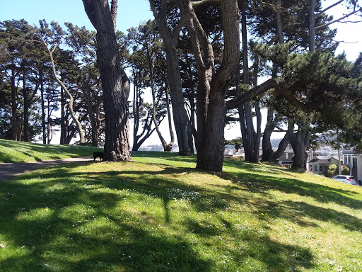 Park «Holly Park», reviews and photos, 625 Holly Park Cir, San Francisco, CA 94110, USA