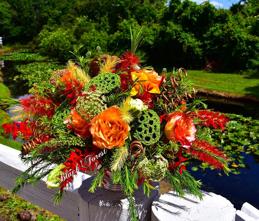 Florist «Black Forest Flowers and Gifts», reviews and photos, 3426 Tampa Rd, Palm Harbor, FL 34684, USA