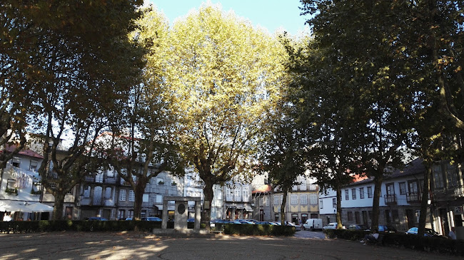 Avaliações doJardim do Largo Condessa do Juncal em Guimarães - Jardinagem