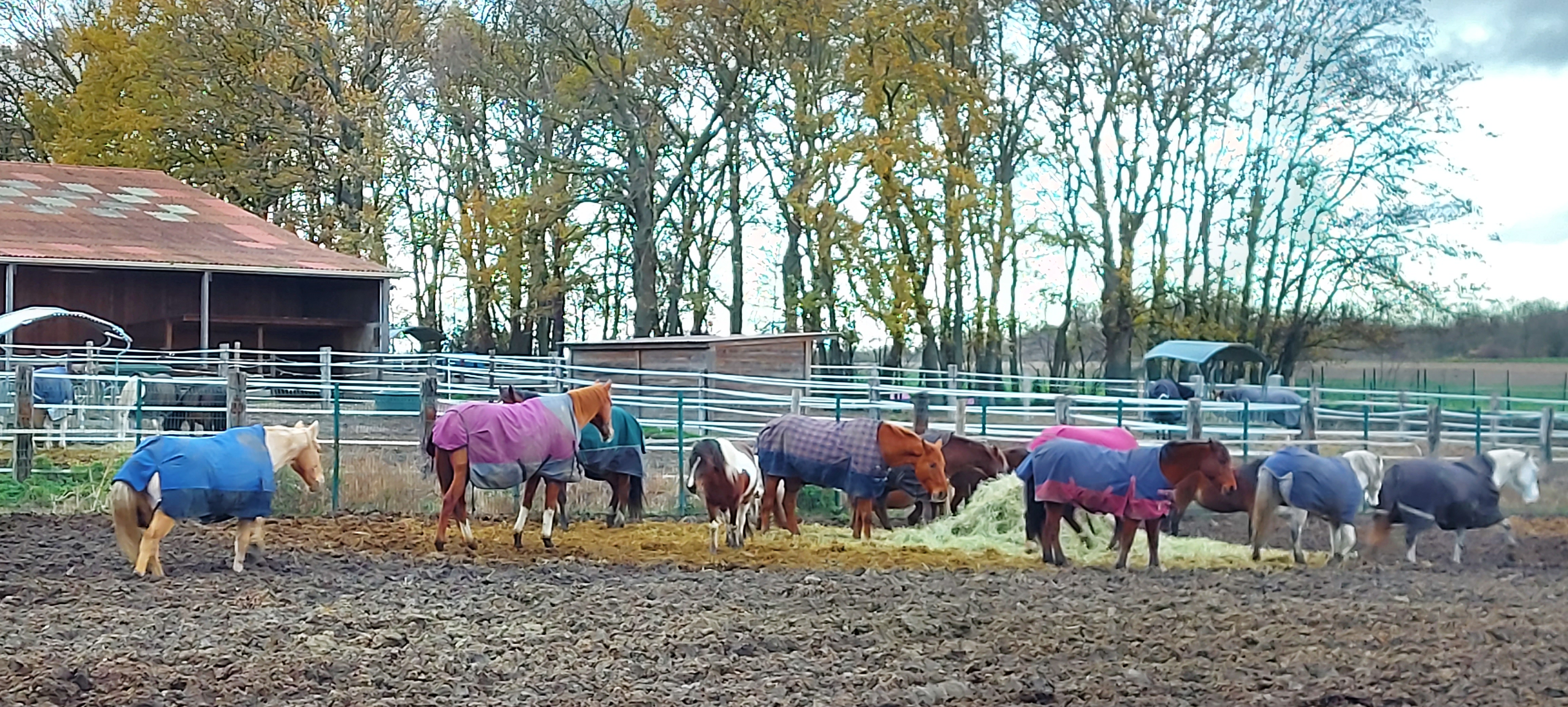 Photo n° 3 de l'avis de John.o fait le 08/12/2020 à 12:24