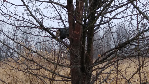 State Park «James Pate Philip State Park», reviews and photos, 2050 W Stearns Rd, Bartlett, IL 60103, USA