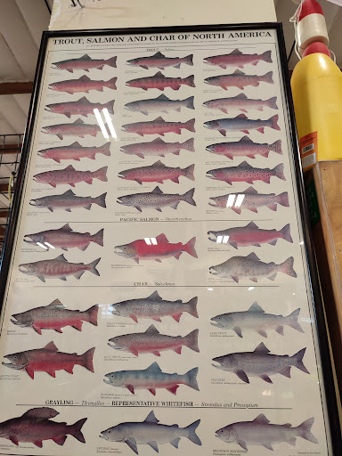 Sporting Goods Store «Outdoor Emporium», reviews and photos, 1701 4th Ave S, Seattle, WA 98134, USA