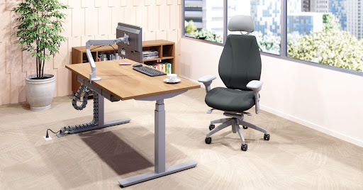 Office Furniture Store «Healthy Posture Store», reviews and photos, 2554 W Lawrence Ave, Chicago, IL 60625, USA