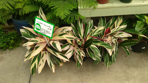 Hardware Store «Hagan Ace Hardware», reviews and photos, 6567 US-90, Glen St Mary, FL 32040, USA