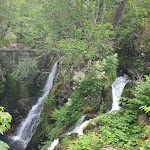 Photo n° 1 de l'avis de Stéphanie.u fait le 16/06/2023 à 18:03 pour Saut de l'Ognon à Servance-Miellin