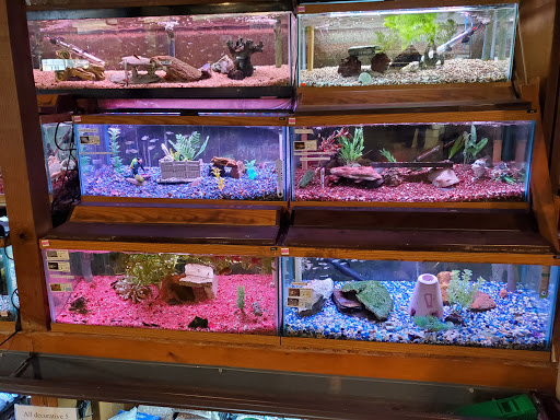 Pet Store «Aqualand Aquarium Center», reviews and photos, 5355 Chicago Ave, Minneapolis, MN 55417, USA