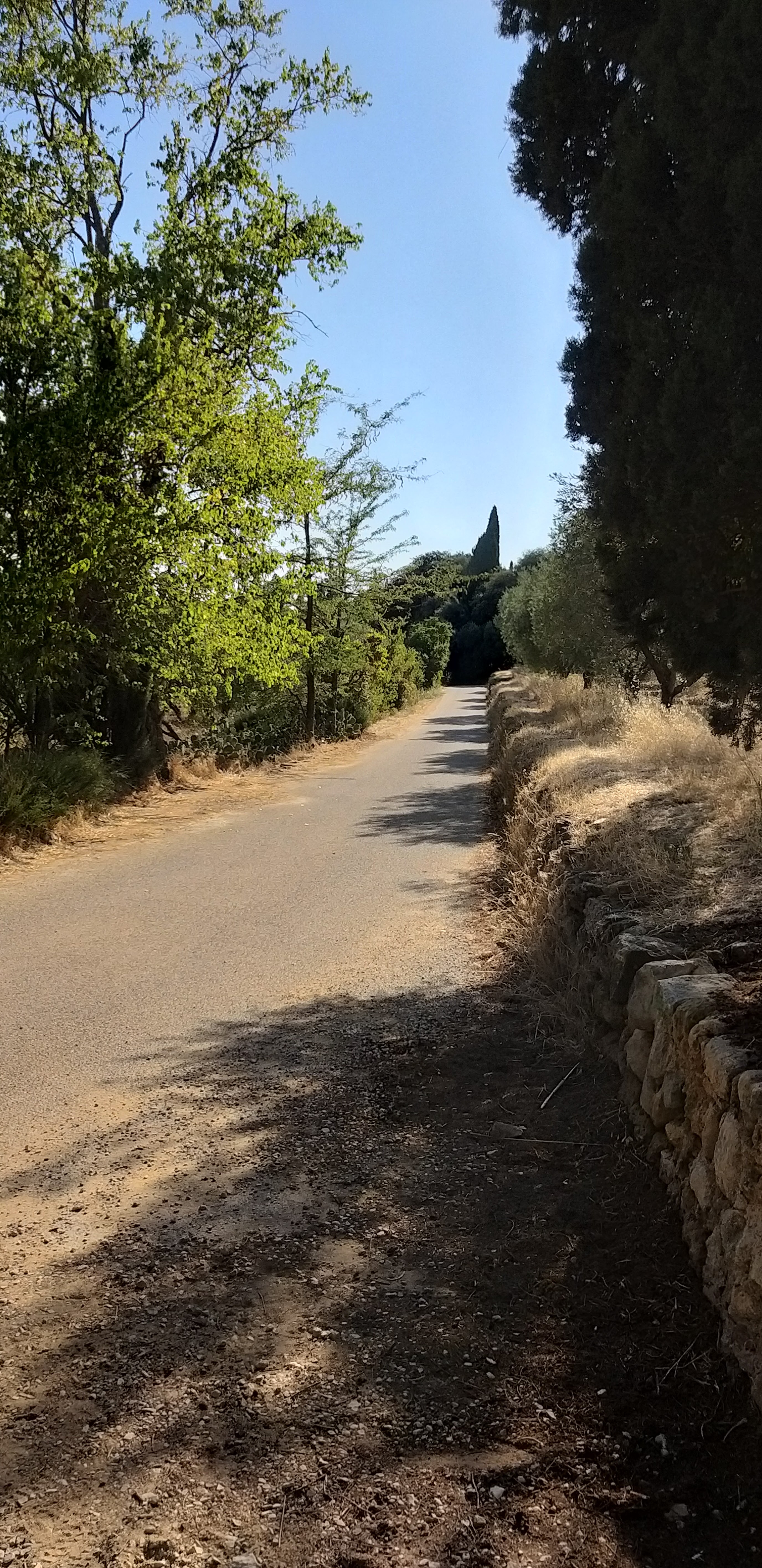 Photo n° 9 de l'avis de unmecdesannees80. fait le 27/08/2019 à 18:09