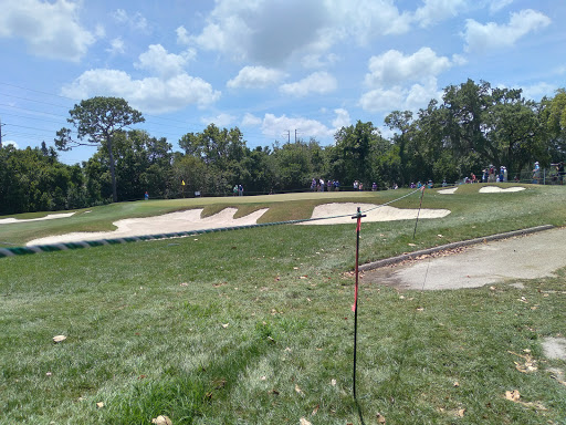 Golf Course «Copperhead Course», reviews and photos, 36750 US Hwy 19 N, Palm Harbor, FL 34684, USA